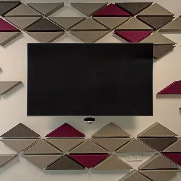 Designer Acoustic Panels for an Office