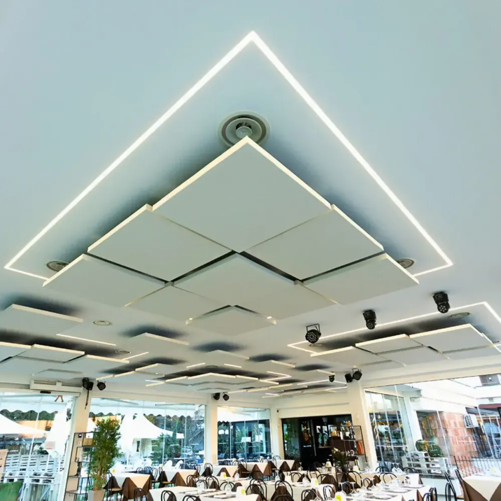 Reducing Noise and Echo in a Restaurant in Anzio