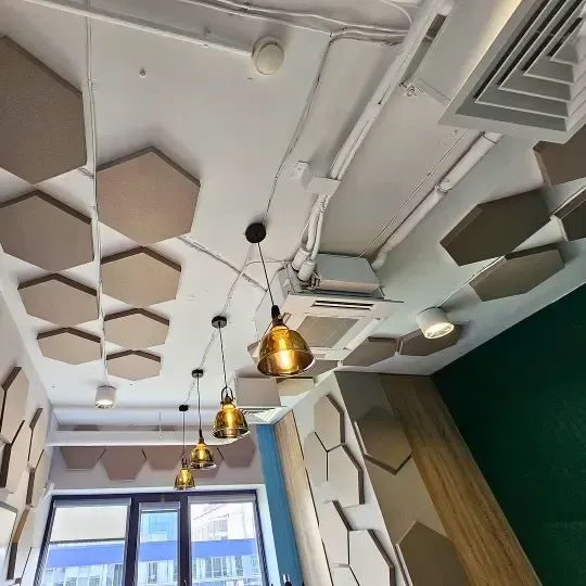 Custom Acoustic Treatment for Video Room