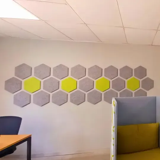 Custom Acoustic Treatment for Client-Centric Office 